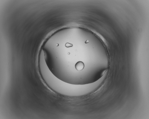 X0000111821477200908201121