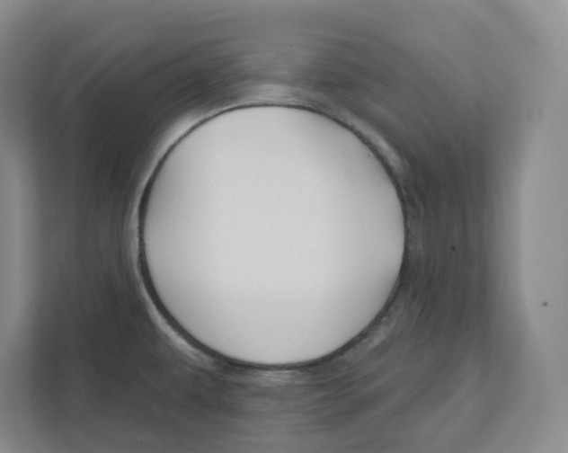 X0000111821479200908201121