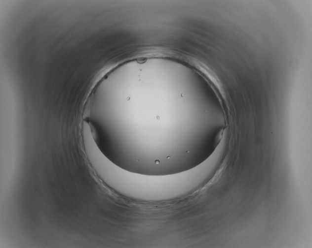 X0000111821481200908201121