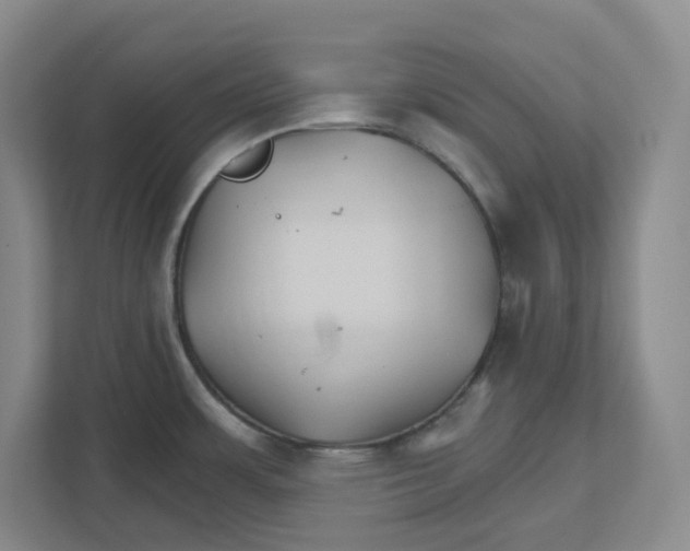 X0000111821483200908201121