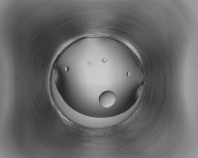 X0000111821485200908201120