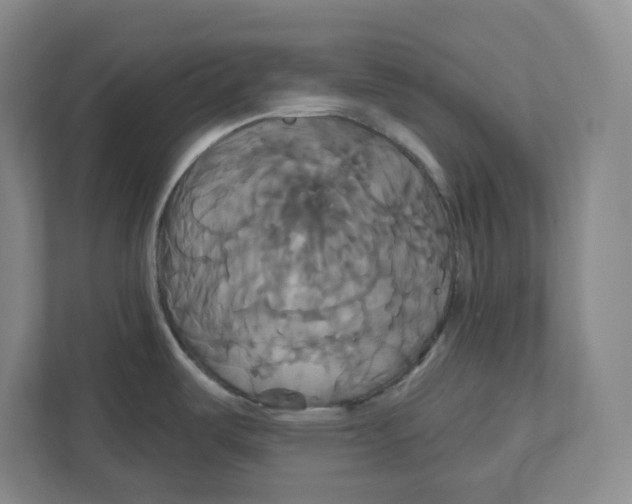 X0000111821487200908201120