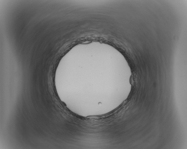 X0000111821489200908201120