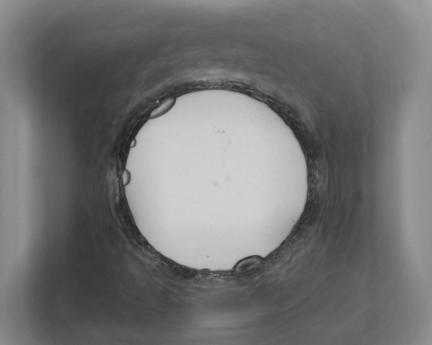 X0000111821493200908201120