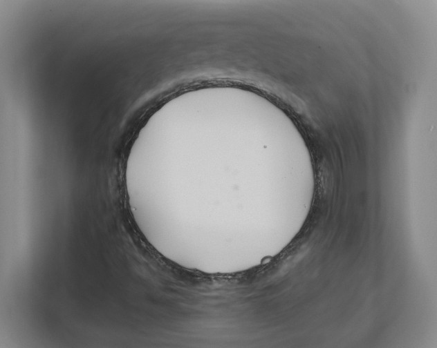 X0000111821494200908201120