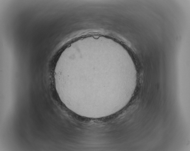 X0000111821496200908201120