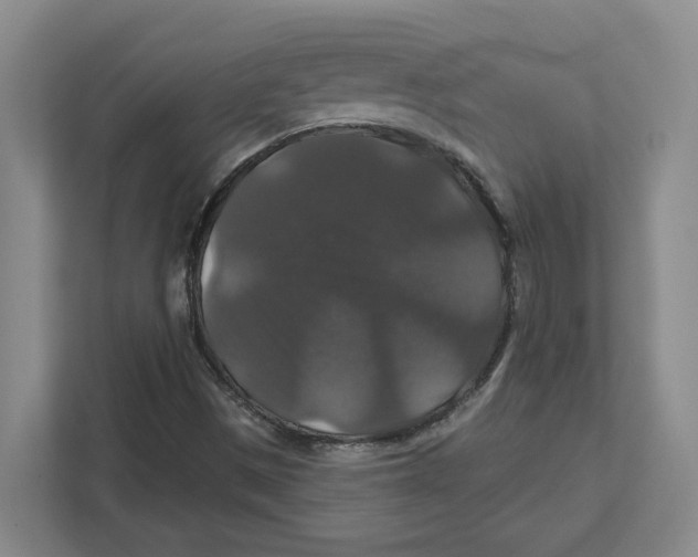 X0000111821497200908201120