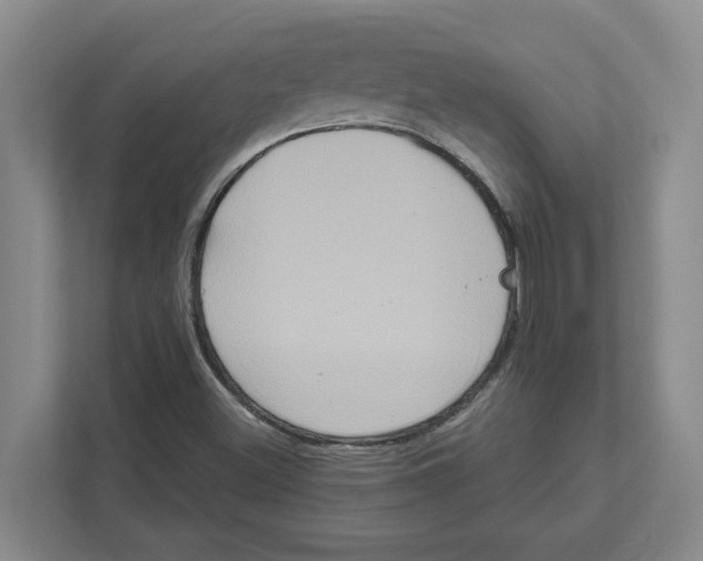 X0000111821500200908201120