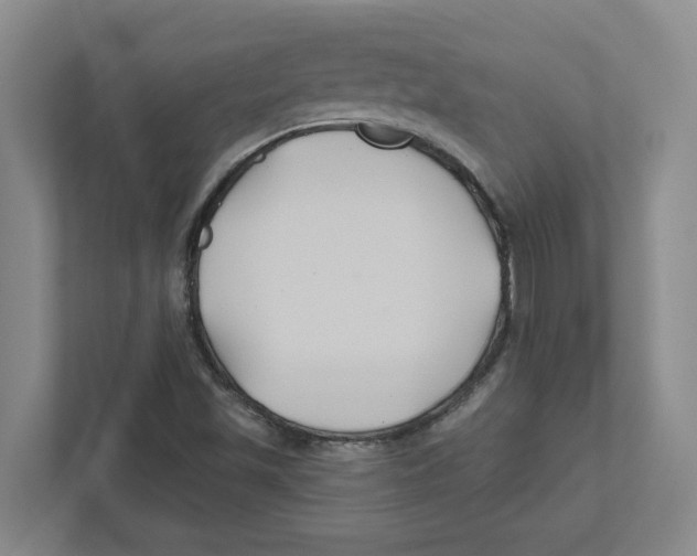 X0000111821501200908201120