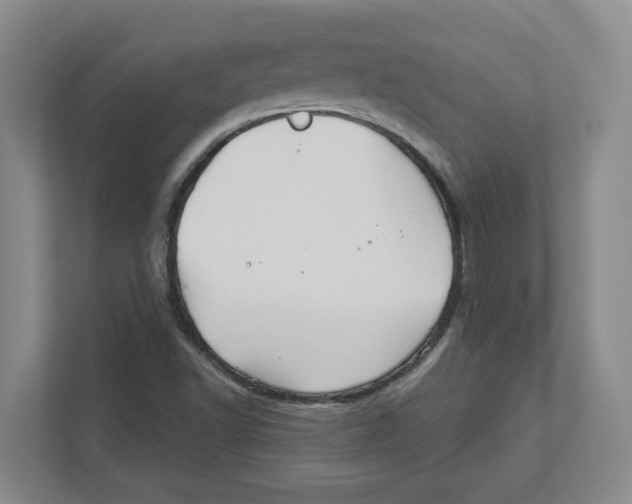 X0000111821502200908201120