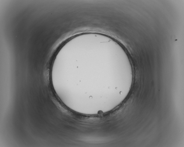 X0000111821503200908201120