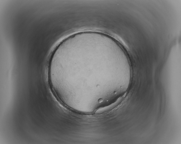 X0000111821504200908201120