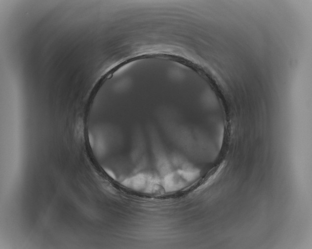 X0000111821505200908201120