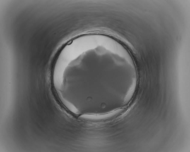 X0000111821506200908201120