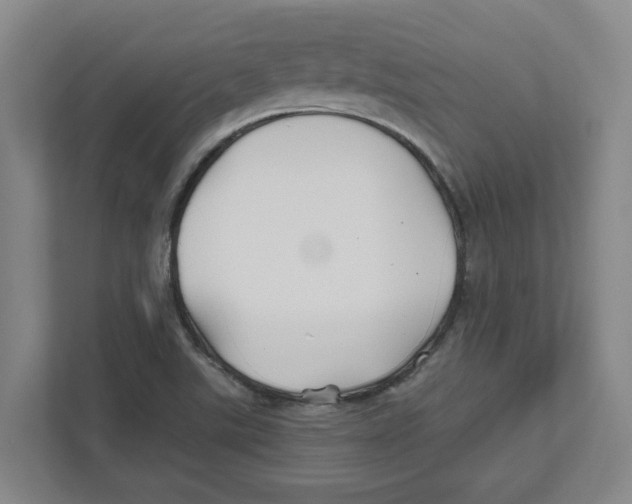 X0000111821507200908201120