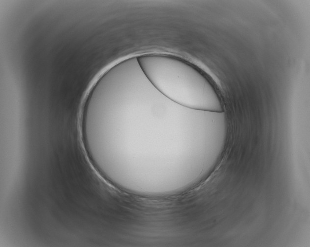 X0000111821508200908201120