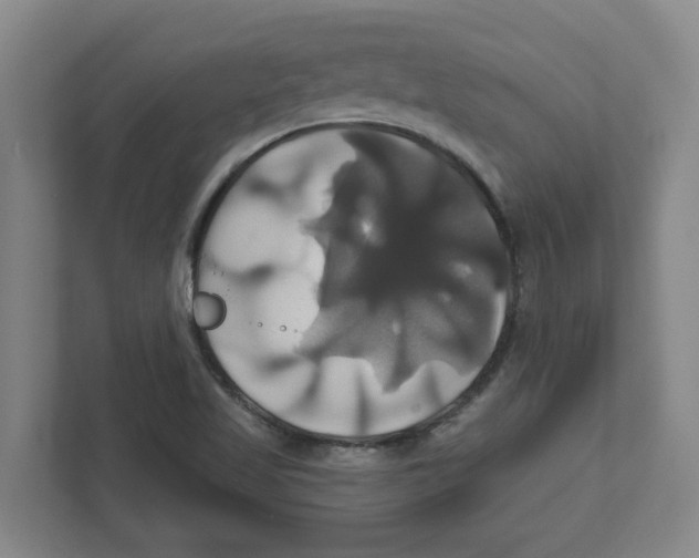 X0000111821509200908201120