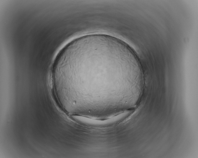 X0000111821510200908201120