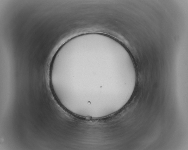 X0000111821512200908201120