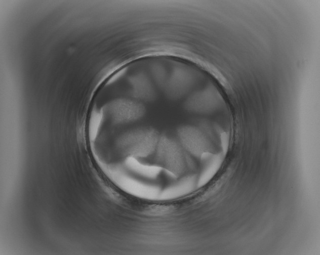 X0000111821513200908201120