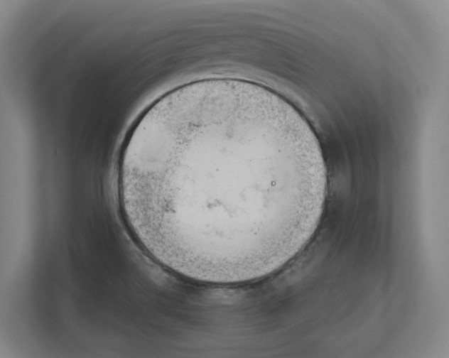 X0000111821514200908201120