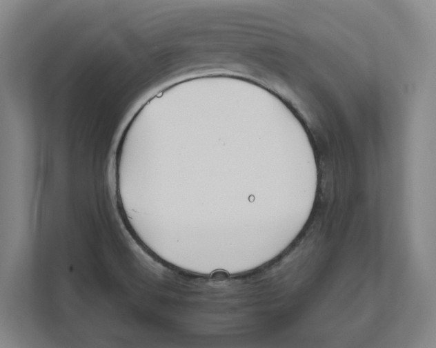 X0000111821516200908201120