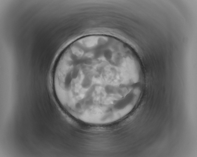 X0000111821517200908201120