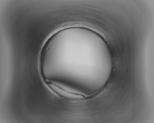 X0000111821518200908201120