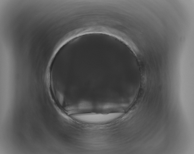 X0000111821519200908201120