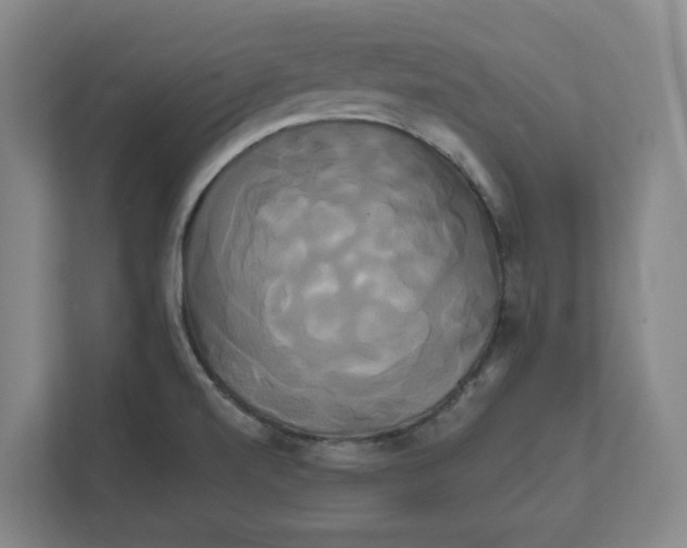 X0000111821520200908201120