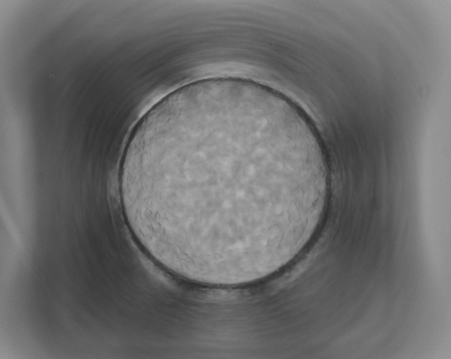 X0000111821521200908201120