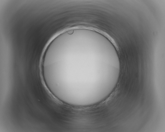 X0000111821522200908201120