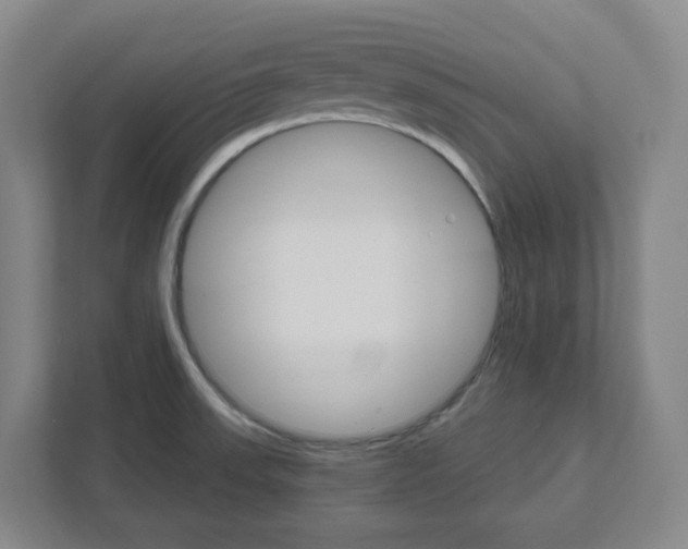 X0000111821523200908201120