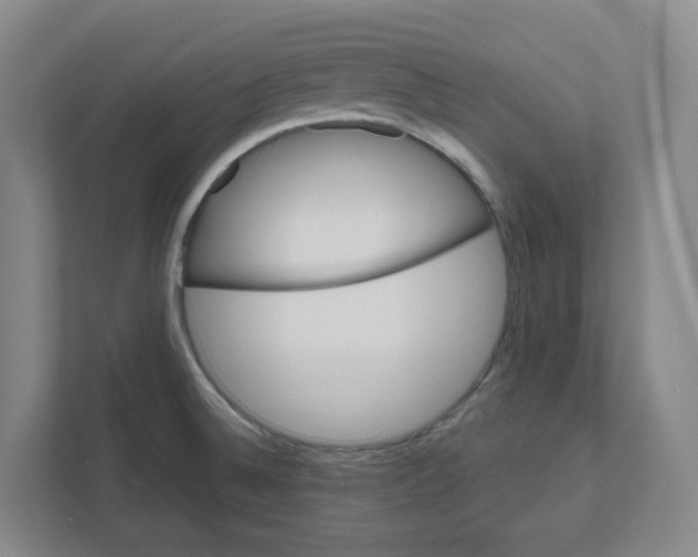 X0000111821524200908201120