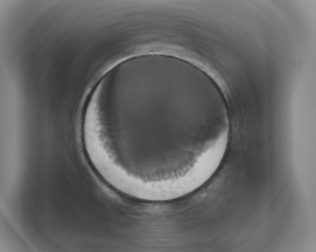 X0000111821525200908201120