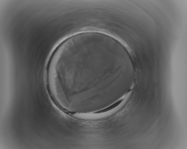 X0000111821527200908201120