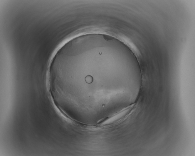 X0000111821528200908201120