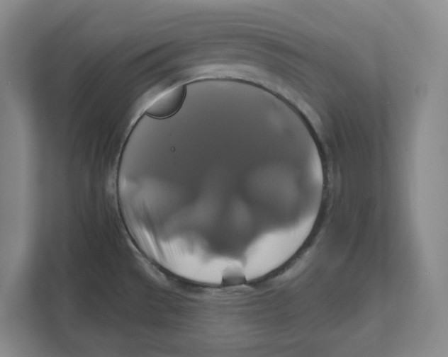 X0000111821529200908201120