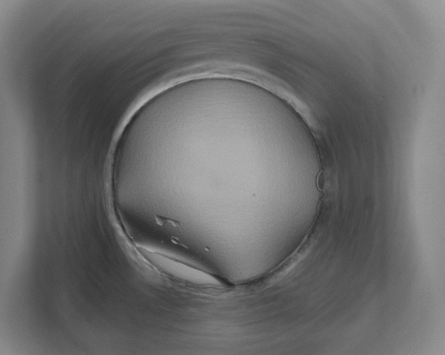 X0000111821530200908201120