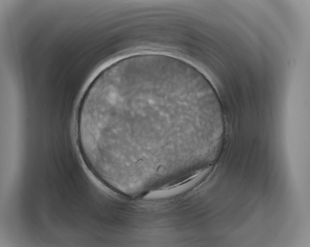 X0000111821531200908201120