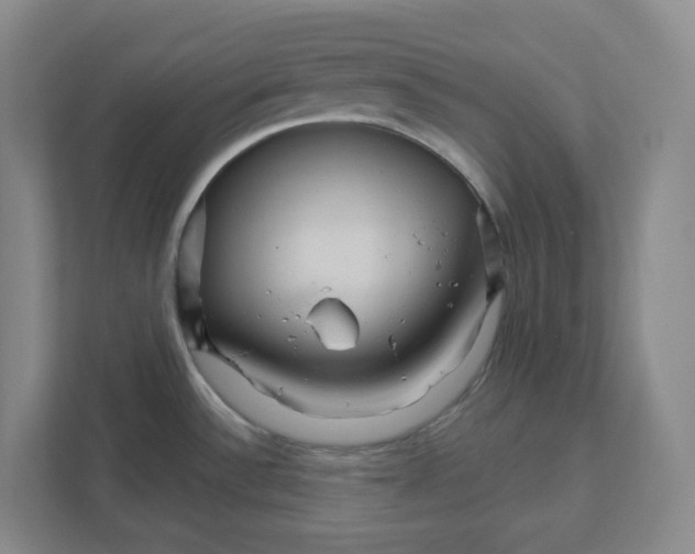 X0000111821532200908201120