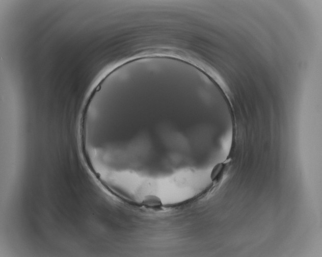 X0000111821533200908201120