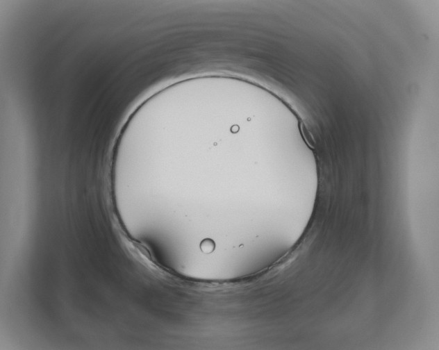 X0000111821534200908201120