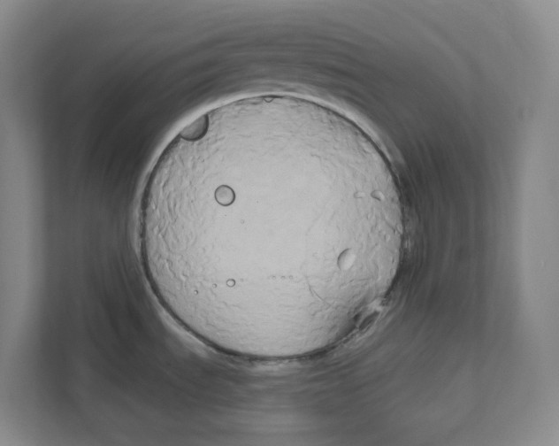 X0000111821535200908201120