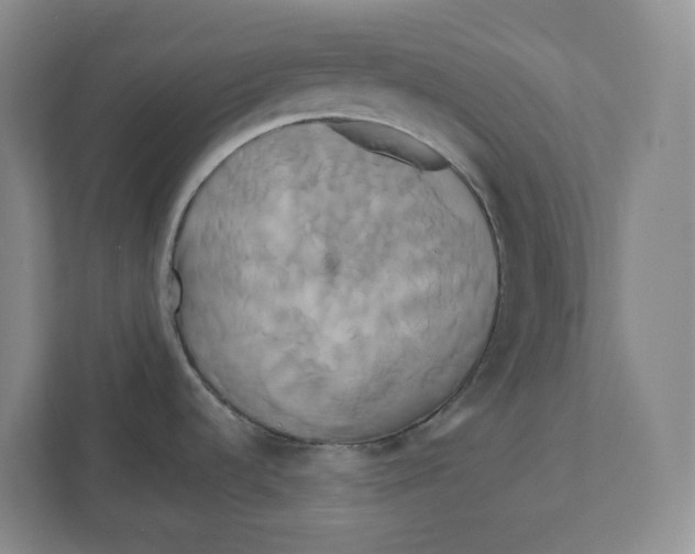 X0000111821536200908201120