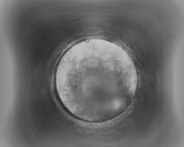 X0000111820002200909031500