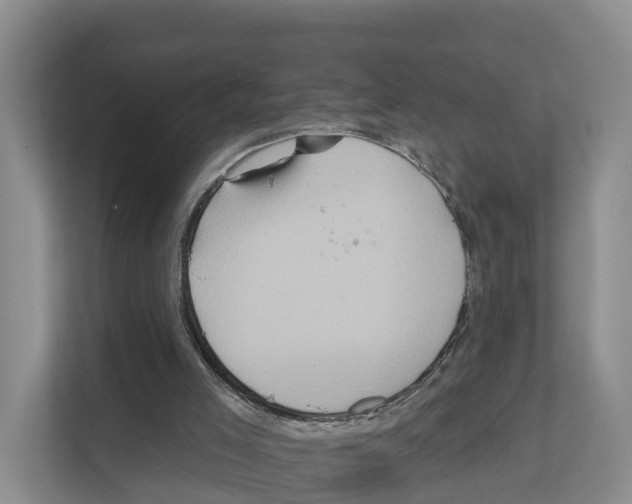 X0000111820005200909031500