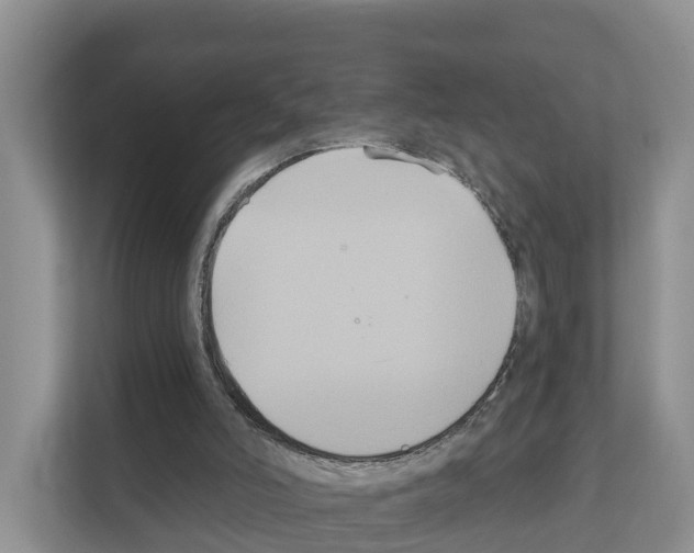 X0000111820006200909031500