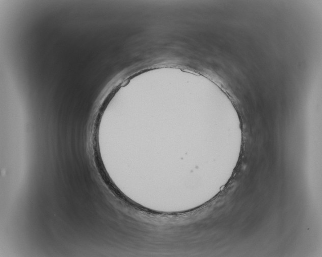 X0000111820007200909031500