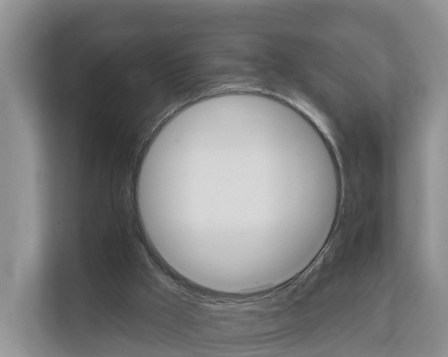 X0000111820009200909031500